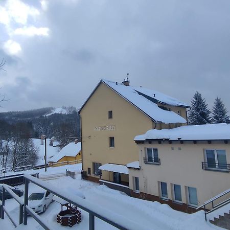 Penzion Sally Albrechtice v Jizerskych horach Exterior photo